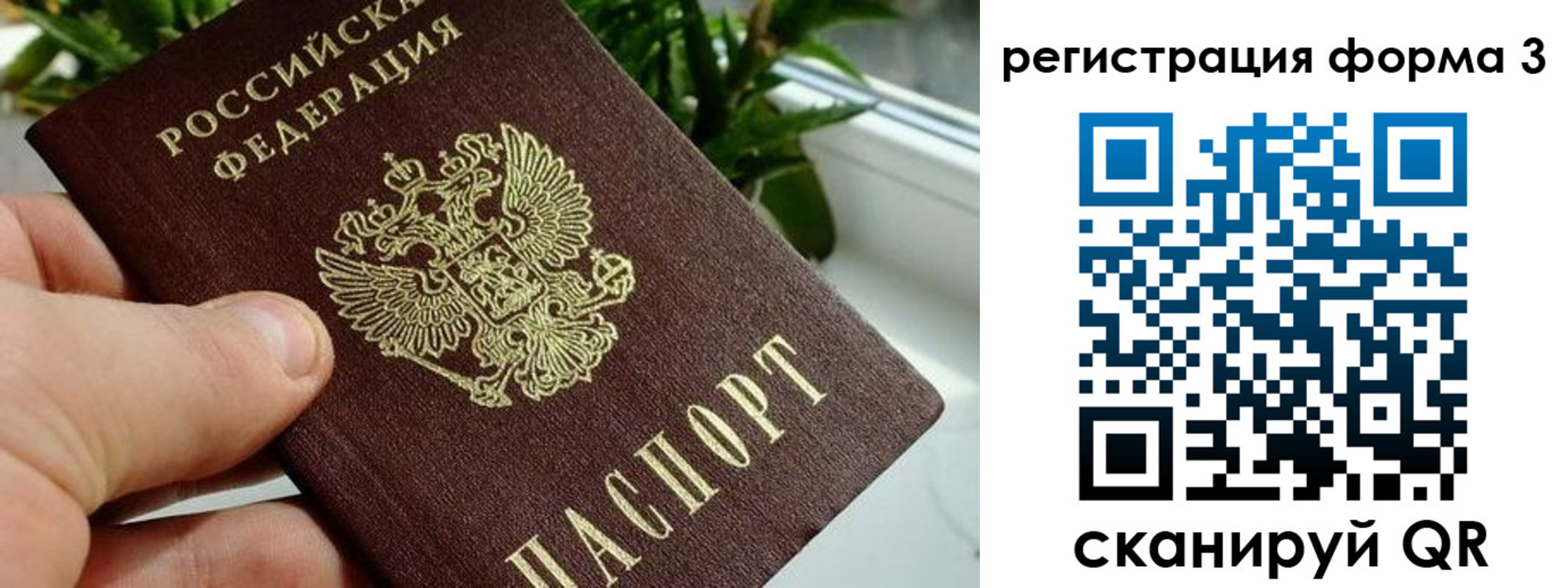прописка штамп в Таганроге
